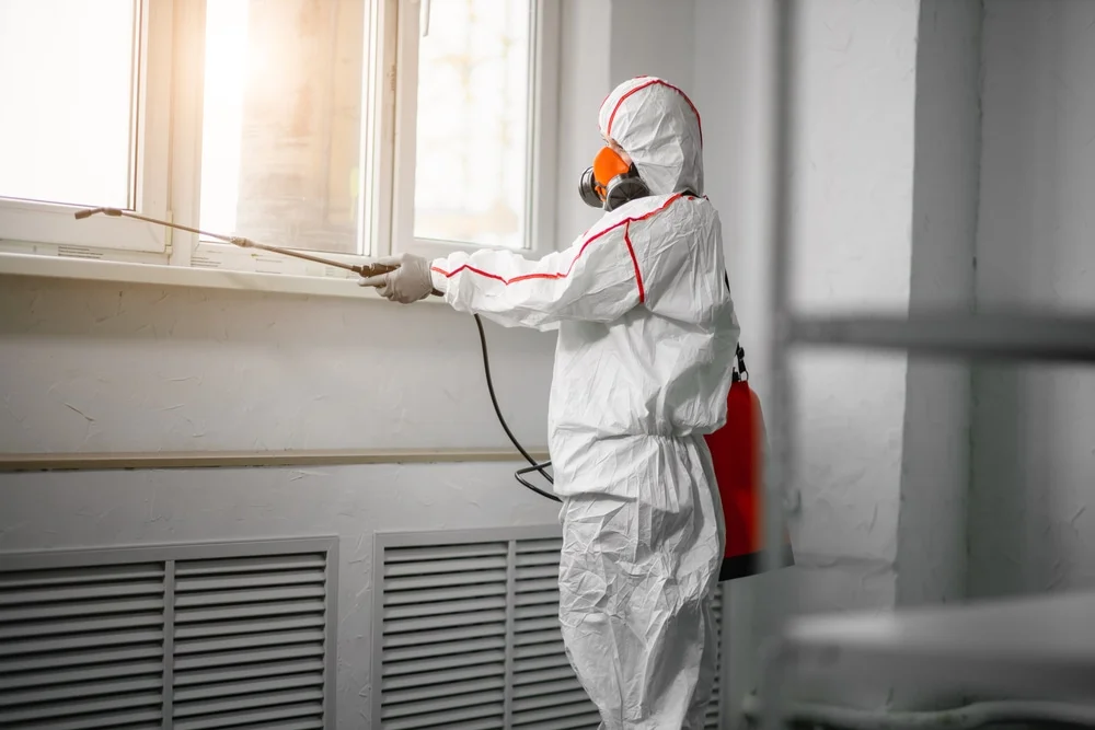 Professional mold remediation services in Vilonia, AR